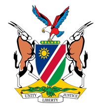 Republic of Namibia Flag