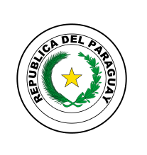 Republic of Paraguay Flag