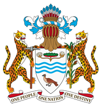 Co-operative Republic of Guyana Flag
