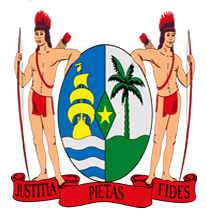 Republic of Suriname Flag