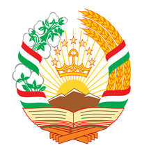 Republic of Tajikistan Flag