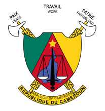 Republic of Cameroon Flag