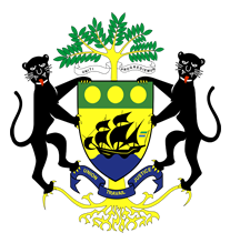 Gabonese Republic Flag